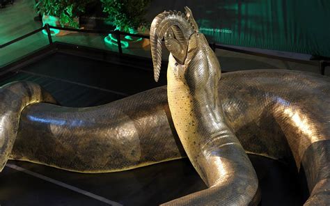 how was titanoboa found.